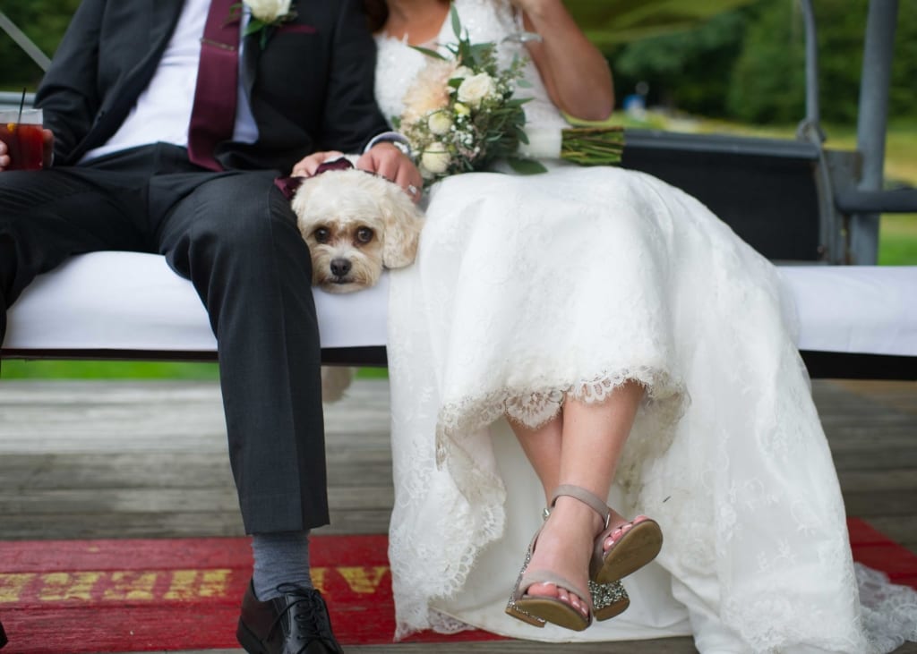 The Tromblys: A Wachusett Mountain Wedding in Princeton, MA